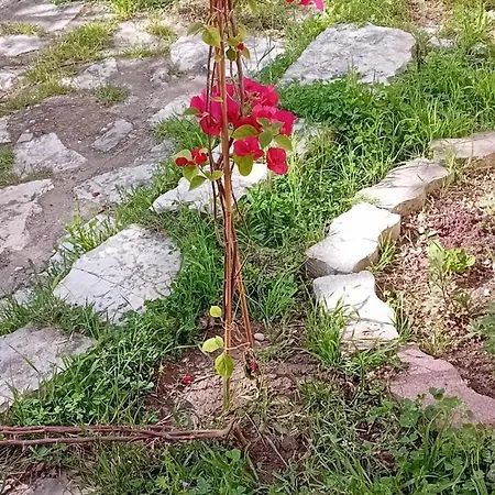 アパート Traditional Stone-built In A Village